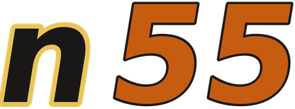n55 logo